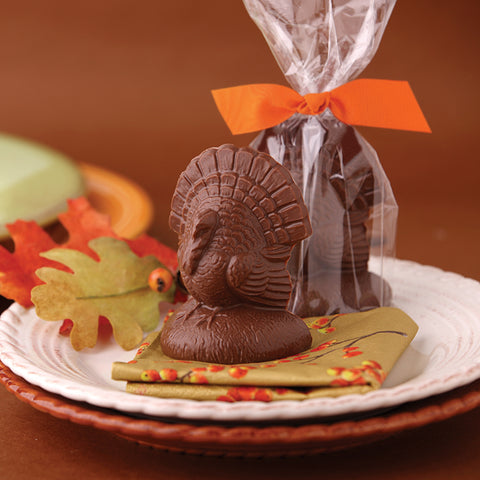 Chocolate Thanksgiving Turkey Place Setting