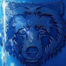 The Bear Bundle